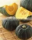 New Crop Fresh Saffron Pumpkin thumbnail-1