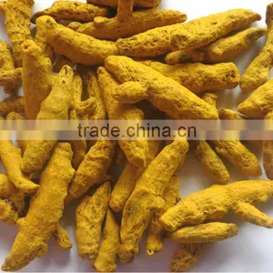 TURMERIC thumbnail-1