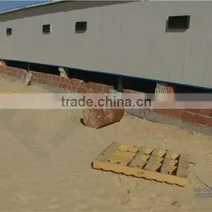 Commercial Steel Structure Poultry House/chicken Farm/broiler Shed thumbnail-4