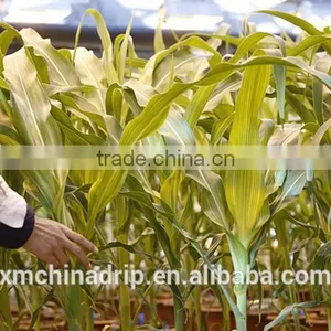 Drip Tape Irrigation System Drippers Irrigation Supplies thumbnail-5