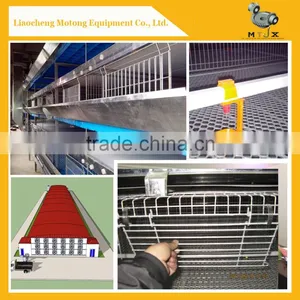 Good Quality Low Price Automatic Chicken Cage/Layer Cage/Broiler Cage Poultry Equipment For Chicken Farm thumbnail-1