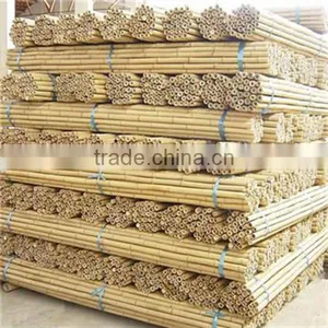 Bamboo Canes / Pole thumbnail-1