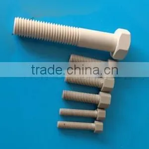 High Performance Round Head PEEK Screw thumbnail-1