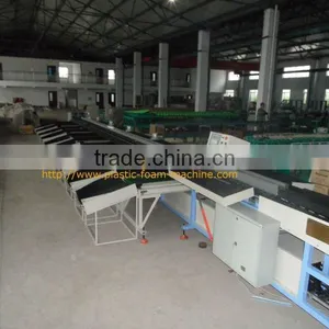 Fruit and Vegetable Sorting Machine thumbnail-1