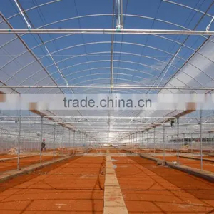 Commercial Farming Polycarbonatge Greenhouse Shade Green House Design thumbnail-1