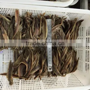 2016New Season Hot Sales Salted Anchovy Fillet thumbnail-5