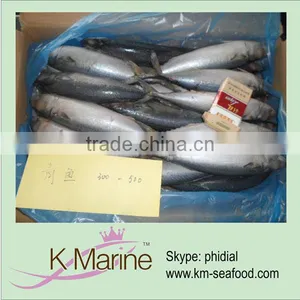 Best Selling 300-500g Land Frozen Mackerel wr thumbnail-1