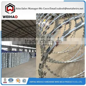 Professional Manufacturer Selling Razor Barbed Wire Razor Wire Whatsapp008613631361119 thumbnail-1