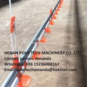 Cameroon Poultry Farm Automatic Broiler Chicken Plastic Salt Floor System With Automatic Nipple Drinker System & Feeding Pan System in Chicken Coop thumbnail-2