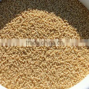 Amaranth thumbnail-1