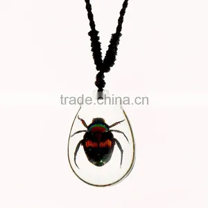 2016 Hot-selling Souvenir Gifts Resin Necklace With Real Insect thumbnail-2
