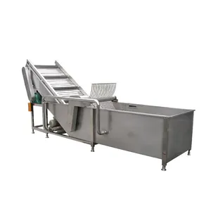 Vegetable Washing Cleaning and Rushing Machine thumbnail-6