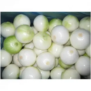 Shanghai New-Onion High Efficiency Drying Machine Food-Applicable Farm & Food Shop Industries thumbnail-4