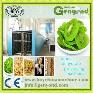 Fruit and Food Microwave Tunnel Dryer/Dehydrator and Sterilizer Machine thumbnail-2