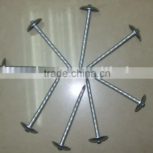 Roofing Nails thumbnail-1