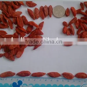 Dried Goji Berry Chinese Wolfberry thumbnail-1