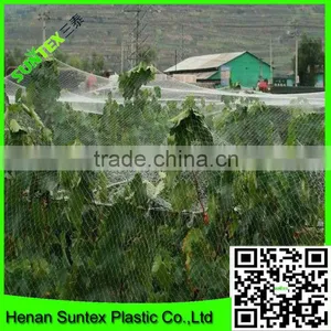 Anti Bird Net for Shrimp/fish Pond Protection thumbnail-1