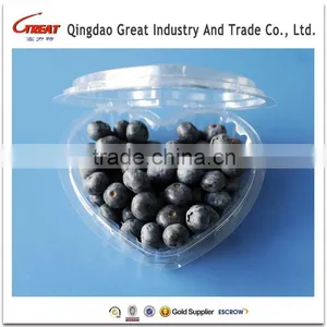 2016 HOT Sale for Manufacture Plastic Packaging Boxes for Fruit Blueberry thumbnail-5