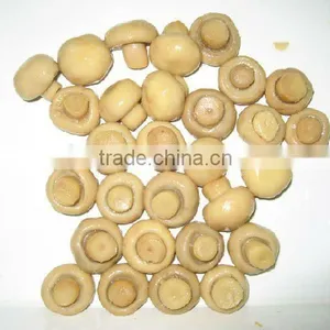 Canned Mushrooms in Glass Jar Branded Canned Food Products thumbnail-3