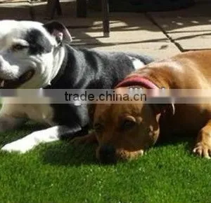 Animal Lawn Ornaments thumbnail-1