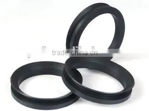 Mechanical Seal Viton Lip Seal thumbnail-2