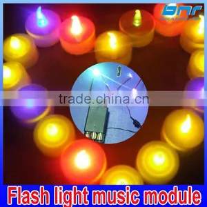 Flash Light Music Module Sound, Clothes Inside, Bags. thumbnail-3