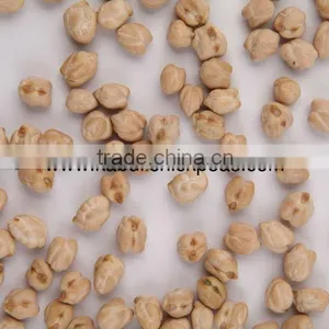 Protein Chickpeas Supplier thumbnail-4