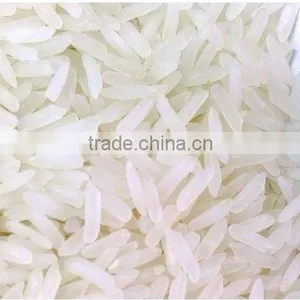 Fresh IR 8 Short Grain Rice thumbnail-1