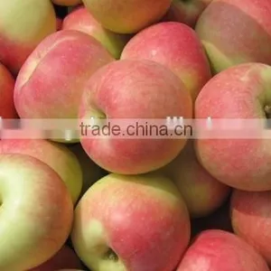 Fuji Apples thumbnail-4