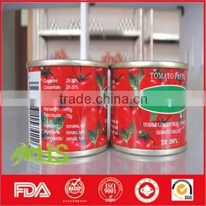 Tomato Paste in Cans and Drum thumbnail-5