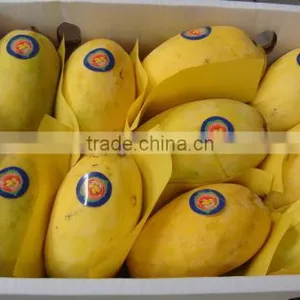 Pakistan Mango - Sindhri / Chaunsa thumbnail-1