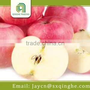 Fruit Price, China Fuji Apple thumbnail-2