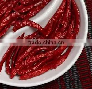 Dry Red Chili thumbnail-1