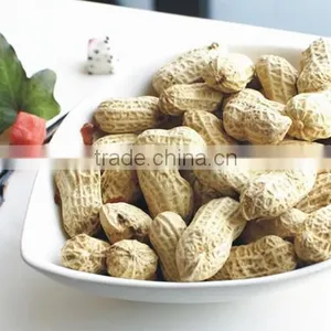 Chinese Peanuts Kernel for Hot Sale and With Free Sample for You thumbnail-4