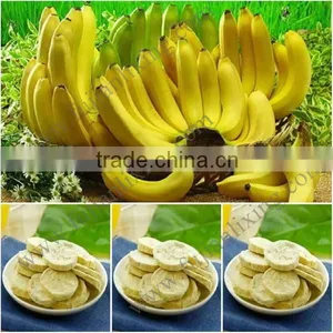 New Arrival Dry Fruit Slicer FD Banaba Price per KG thumbnail-1