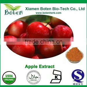 Natural Apple Peel Extract Procyanidin b2 thumbnail-1