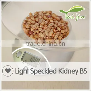 New Arrival Borlotti Bean Market Price thumbnail-5