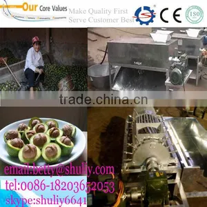 Best Quality Fresh Walnut Washing and Peeling Machine/walnut Thresher thumbnail-1