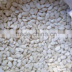 Pumkin Seed Kernels Shine Skine-grade AA thumbnail-4