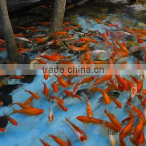 Super Floating Fish Feed Pellet Machine/fish Feed Pellet Extruder Machine thumbnail-5