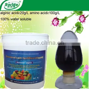 Seaweed Amino Acid Fertilizer thumbnail-1