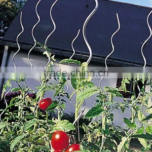 2017 New Design Tomato Spiral Plant Support/tomato Spiral/spiral Tomato Stake thumbnail-3