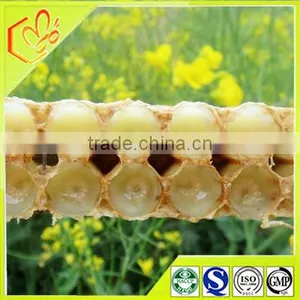 Actively Fresh 2.0 10-HDA Royal Jelly For Improving Immune System thumbnail-1