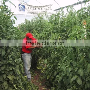Climbing Plant Support Net thumbnail-6