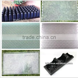 PVC Plastic Seedling Tray Molding Machine thumbnail-3