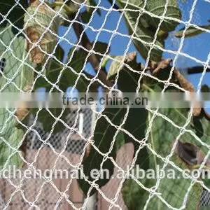 100% Virgin HDPE Bird Netting/protection Net /Antihail Net thumbnail-2