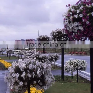 Vertical Garden Planters Ball Shaped Planter PP Plastic Used for Lamp Post Landscaping Decoration thumbnail-1