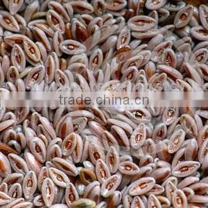 Whole Plantago Ovata Seeds thumbnail-1