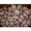 Pure White Fresh Garlic thumbnail-3