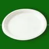 10 Inch Bagasse Pulp Plate thumbnail-1